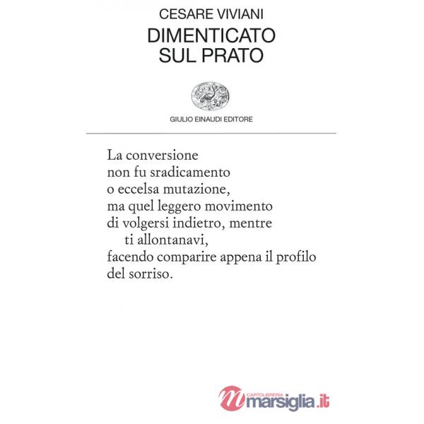 Dimenticato sul prato