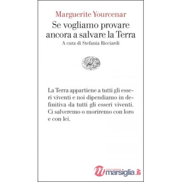 Se vogliamo provare ancora a salvare la Terra