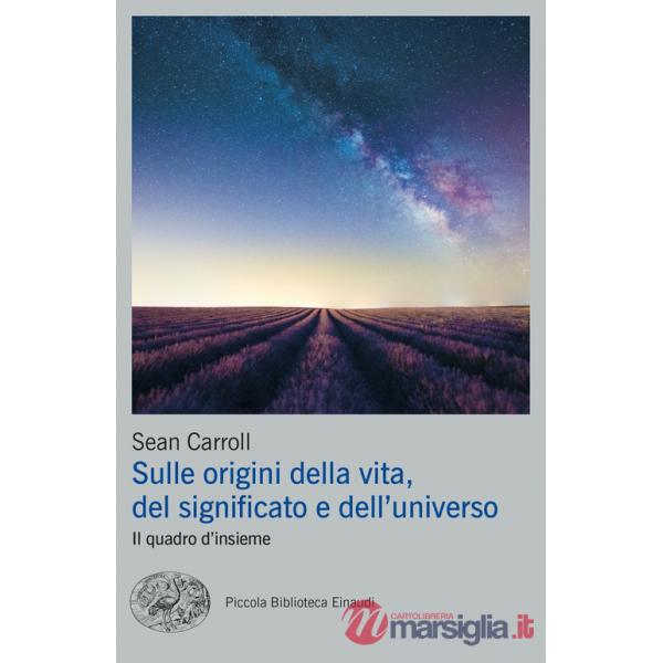 Sulle origini della vita, del significato e dell'universo. Il quadro d'insieme