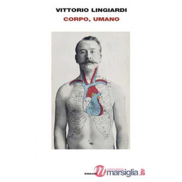 Corpo, umano