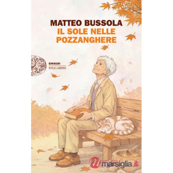 Sole nelle pozzanghere (Il)