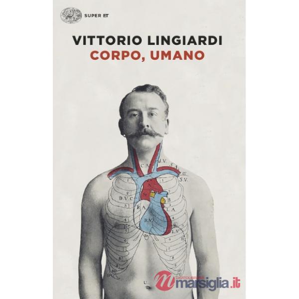 Corpo, umano