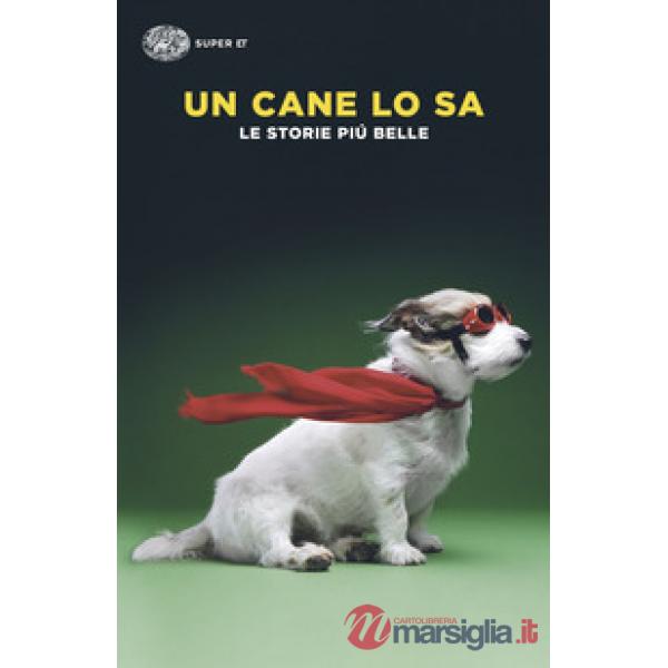 Cane lo sa. Le storie più belle (Un)