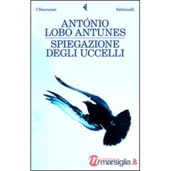 Spiegazione degli uccelli