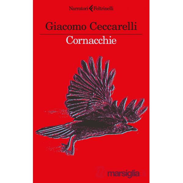 Cornacchie