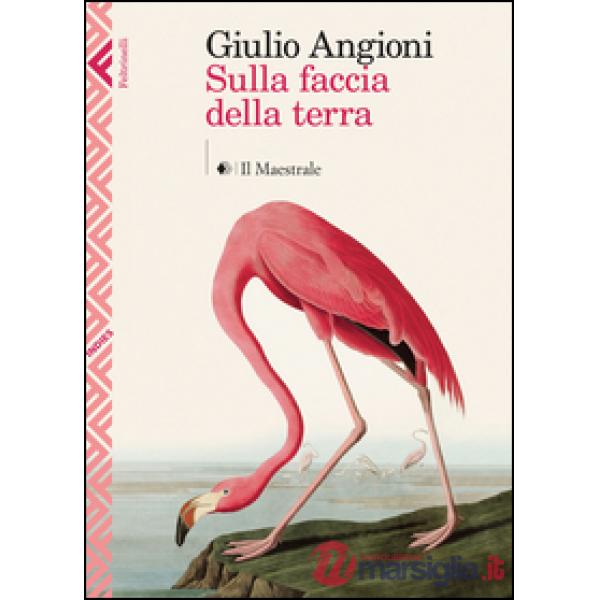 Sulla faccia della terra