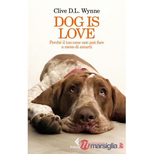 Dog is love. Perché il tuo cane non può fare a meno di amarti