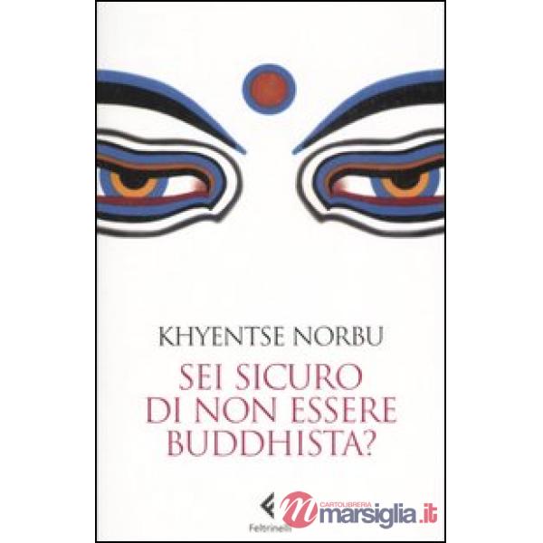 Sei sicuro di non essere buddhista?