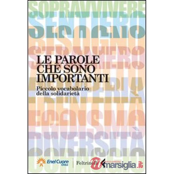 Parole che sono importanti. Piccolo vocabolario della solidarietà (Le)