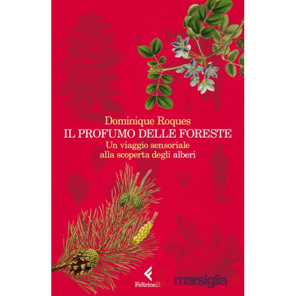 Profumo delle foreste. Un viaggio sensoriale alla scoperta degli alberi (Il)