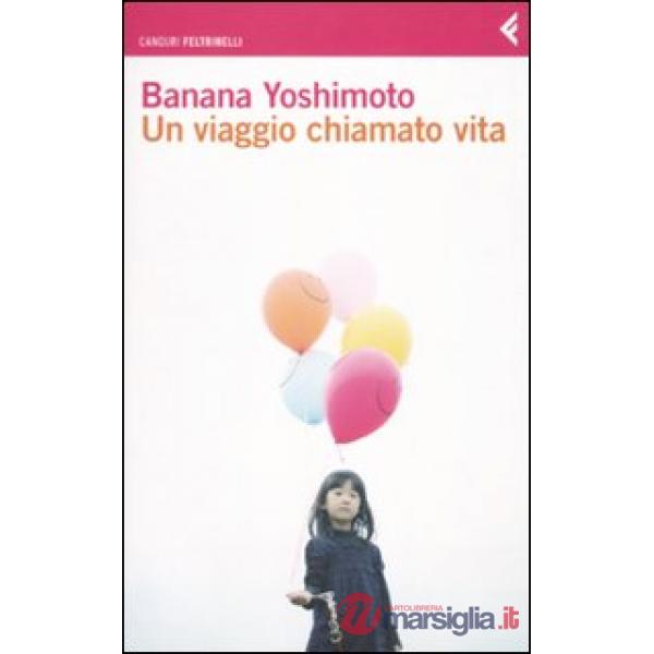 Viaggio chiamato vita (Un)