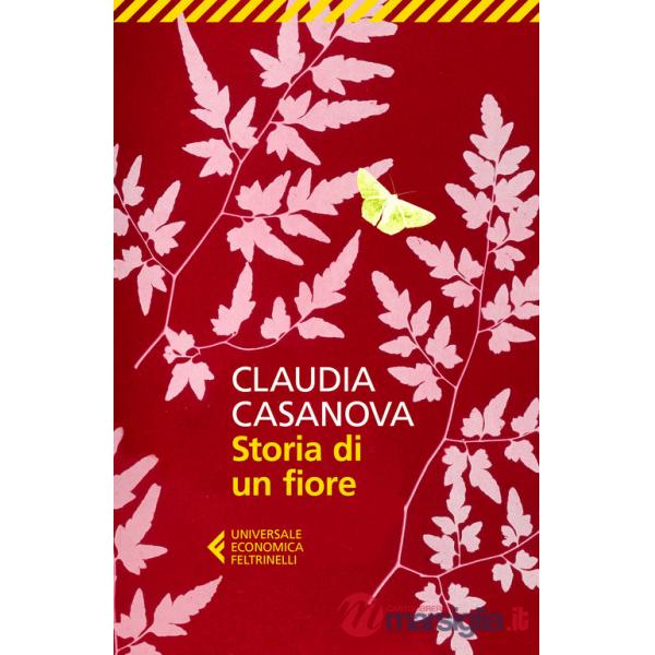 Storia di un fiore