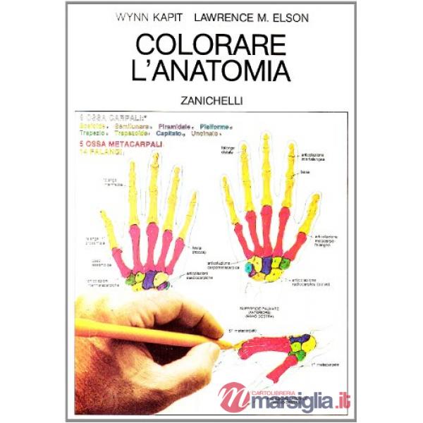 COLORARE L'ANATOMIA