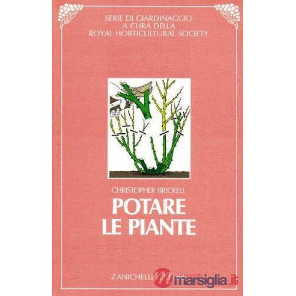 POTARE PIANTE