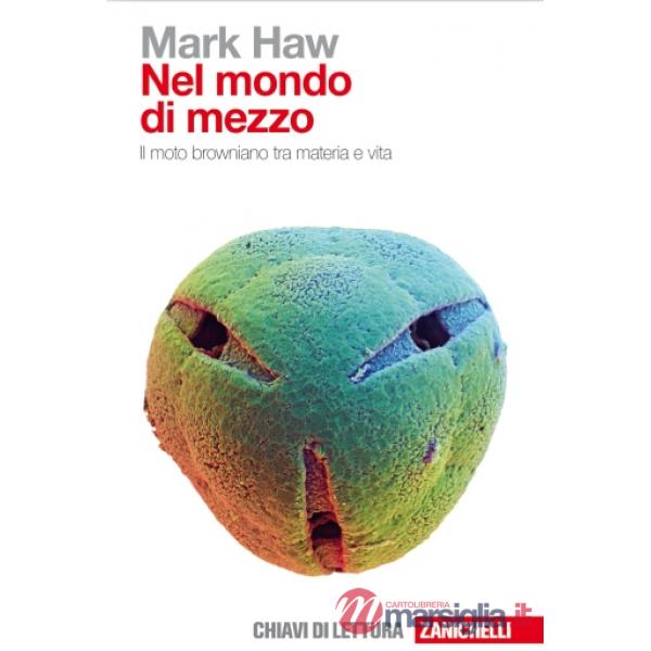 NEL MONDO DI MEZZO