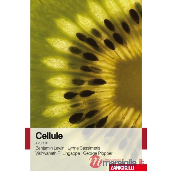 CELLULE