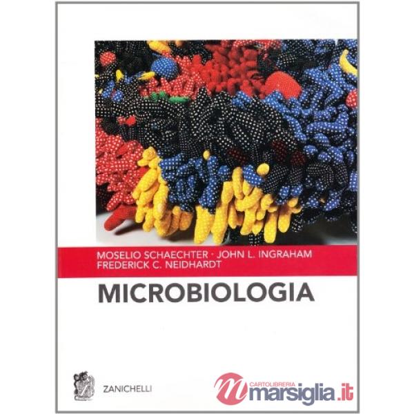 MICROBIOLOGIA