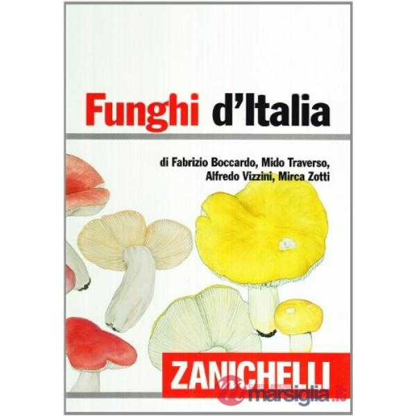 FUNGHI D'ITALIA