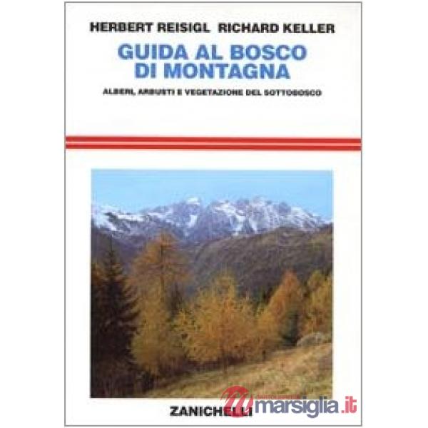 GUIDA BOSCO IN MONTAGNA