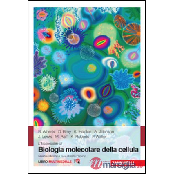 ESSENZ BIOL MOLECOL 4ED LUM