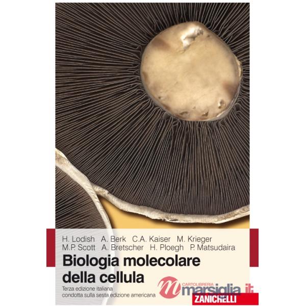 BIOL MOL CELLULA 3ED