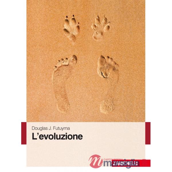 L'EVOLUZIONE