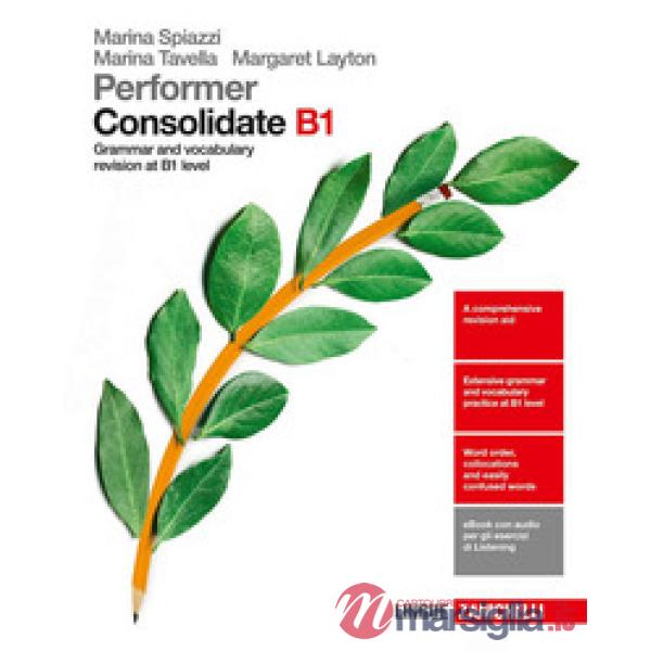 PERFORMER B1 CONSOLIDATE B1
