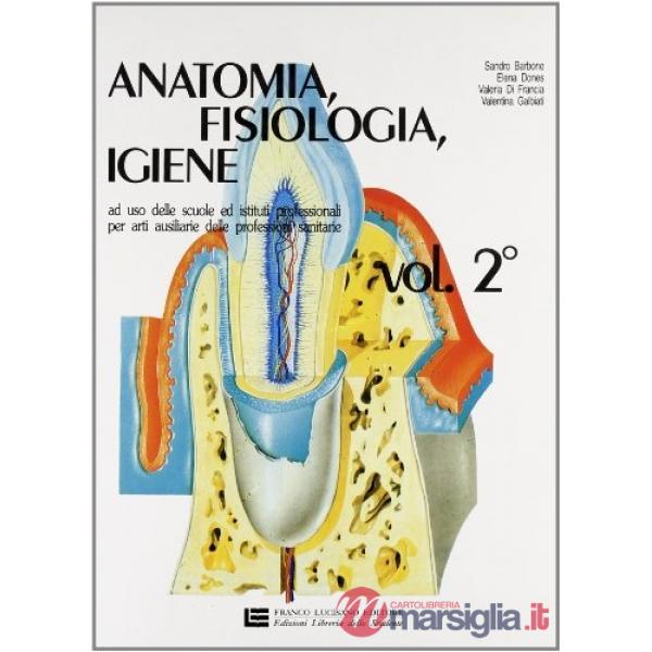 ANATOMIA FISIOL 2 LM
