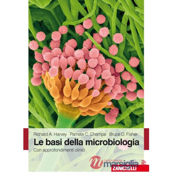 BASI MICROBIOL