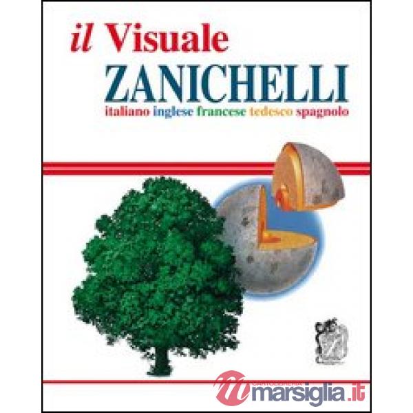 IL VISUALE ZANICHELLI V.U.