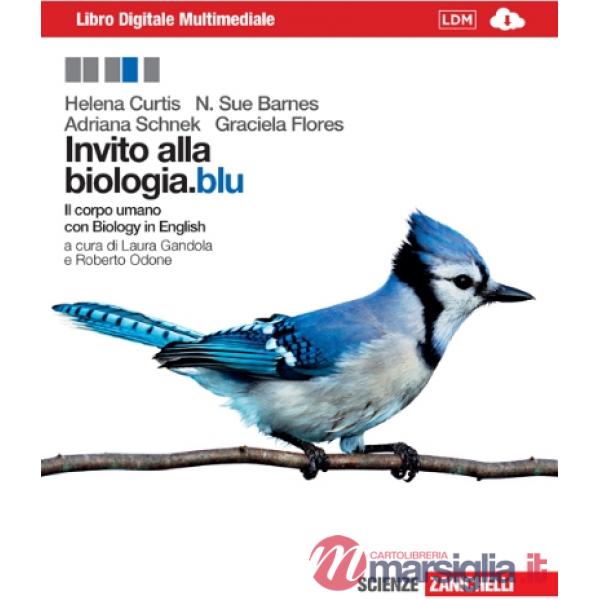 INVITO BLU CORPO