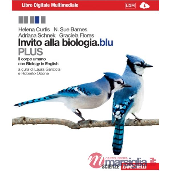 INVITO BLU CORPO PLUS