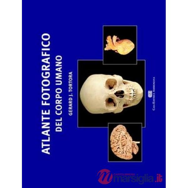 ATLANTE ANATOMIA FISIOLOGIA