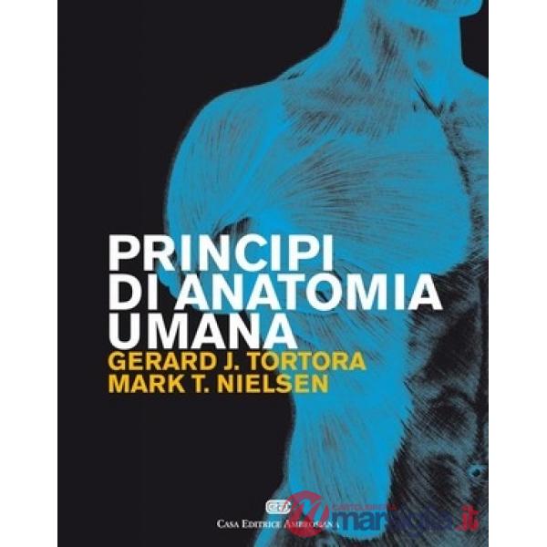 PRINCIPI ANATOMIA UMANA