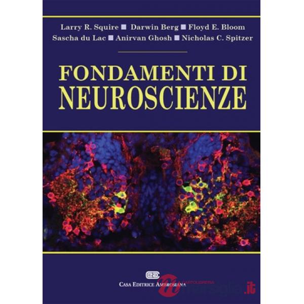 FONDAMENTI DI NEUROSCIENZE