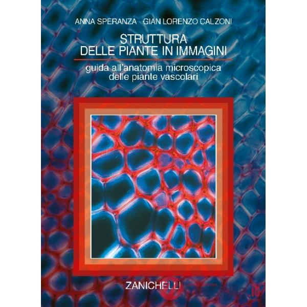 SPERANZA/CALZONI/STR PIANTE + CD ROM