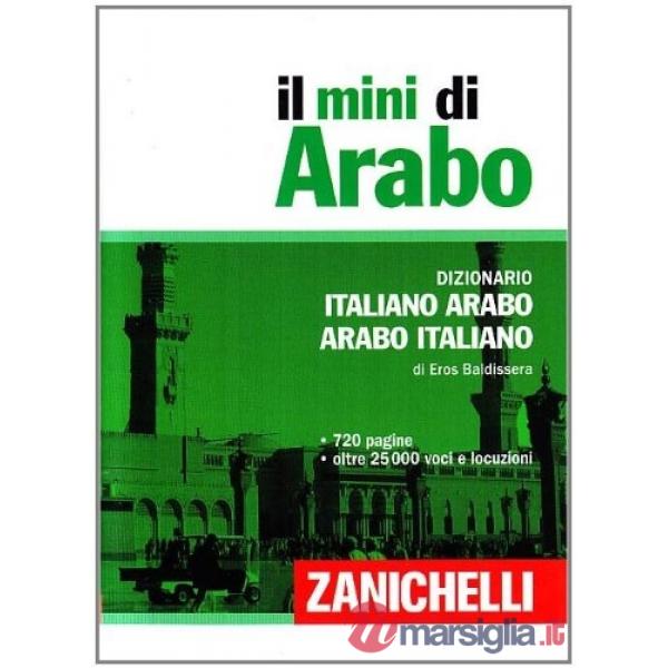IL MINI DI ARABO V. U.