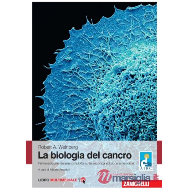 BIOLOGIA DEL CANCRO LUM