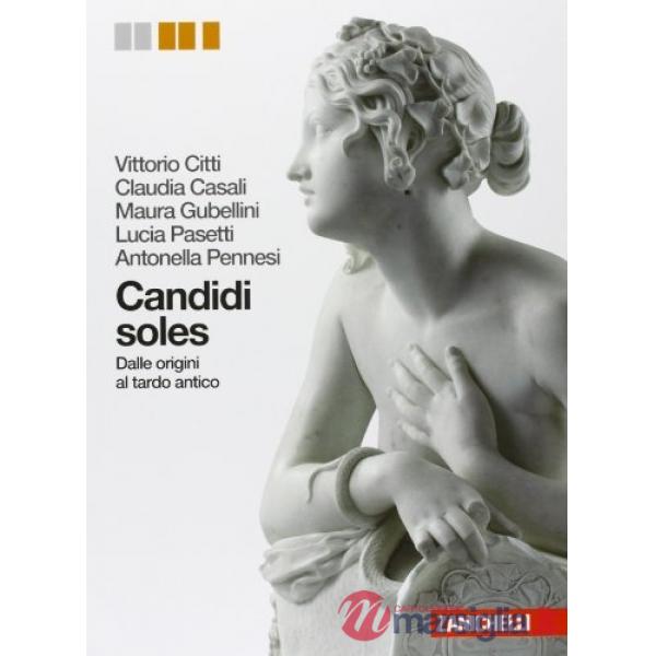 CANDIDI SOLES V. U.