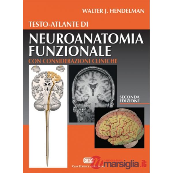ATL NEUROANATOMIA 2ED (CEA)
