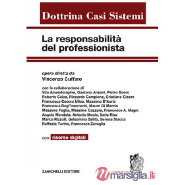 LA RESPONSABILITA DEL PROFESSIONISTA. CON AGGIORNAMENTO ONLINE