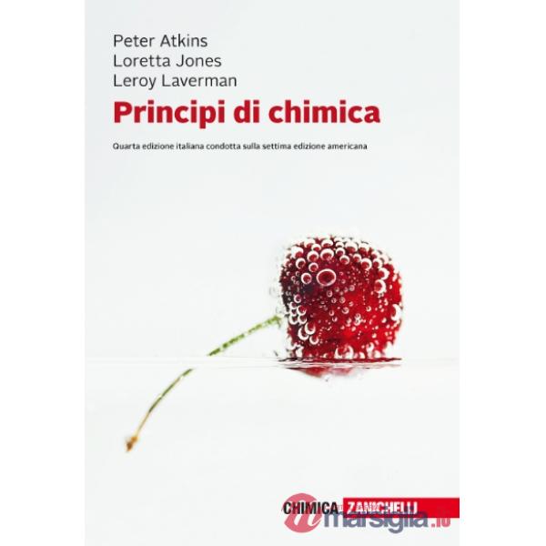 JONES*PRINC CHIMICA 4ED LUMK