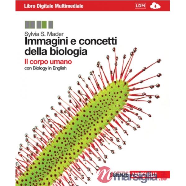 IMMAGINI E CONCETTI DELLA BIOLOGIA IL CORPO UMANO
