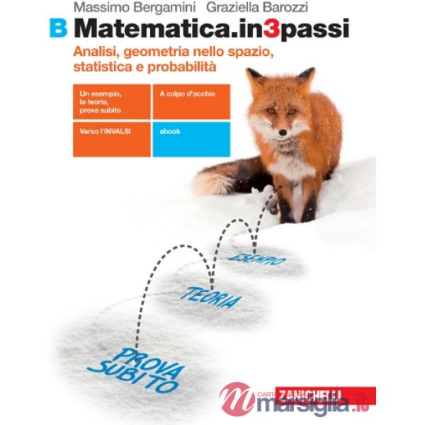 MATEMATICA IN 3 PASSI VOL. B