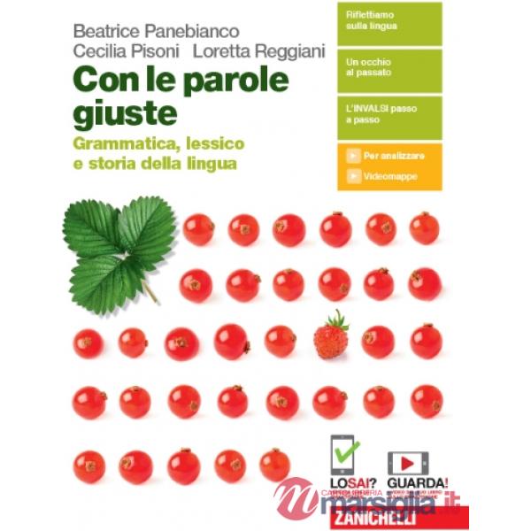 CON LE PAROLE GIUSTE. GRAMMATICA, LESSICO E STORIA DELLA LINGUA