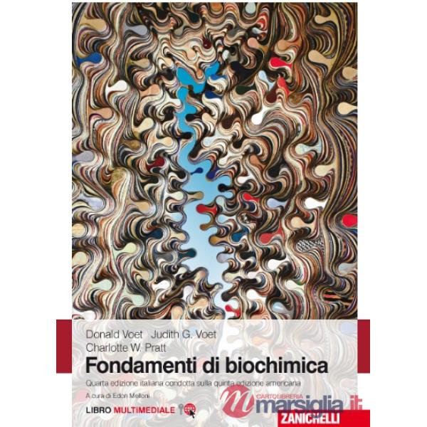 FOND BIOCHIMICA 4ED LUMK