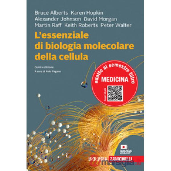 ESSENZIALE DI BIOLOGIA MOLECOLARE DELLA CELLULA