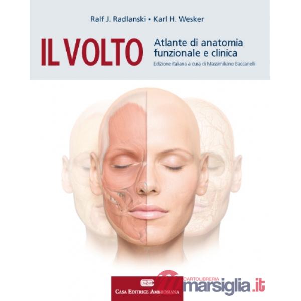 VOLTO ATL ANATOMIA (CEA)