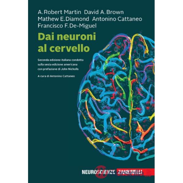 DAI NEURONI AL CERVELLO + EB