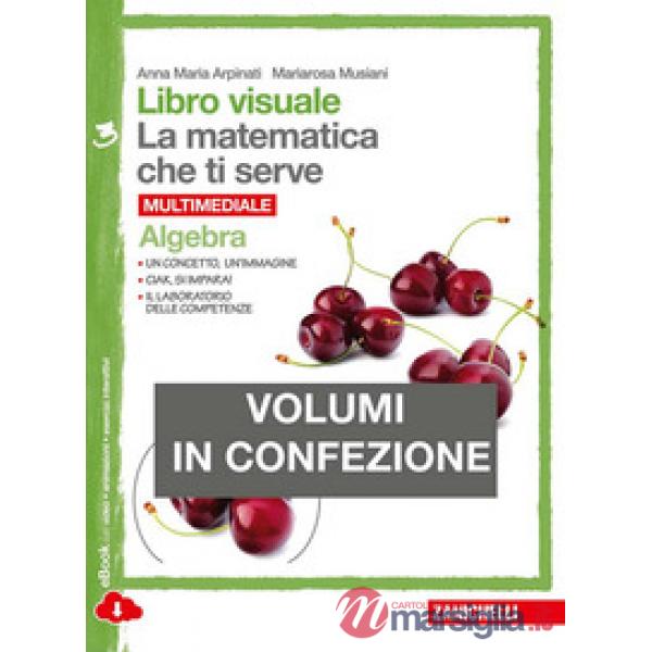 LIBRO VISUALE LA MATEMATICA CHE TI SERVE. ALGEBRA-GEOMETRIA 3. PER LA